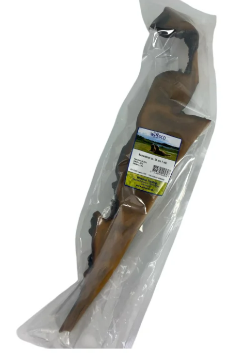 Kamelskind ca. 50 cm.